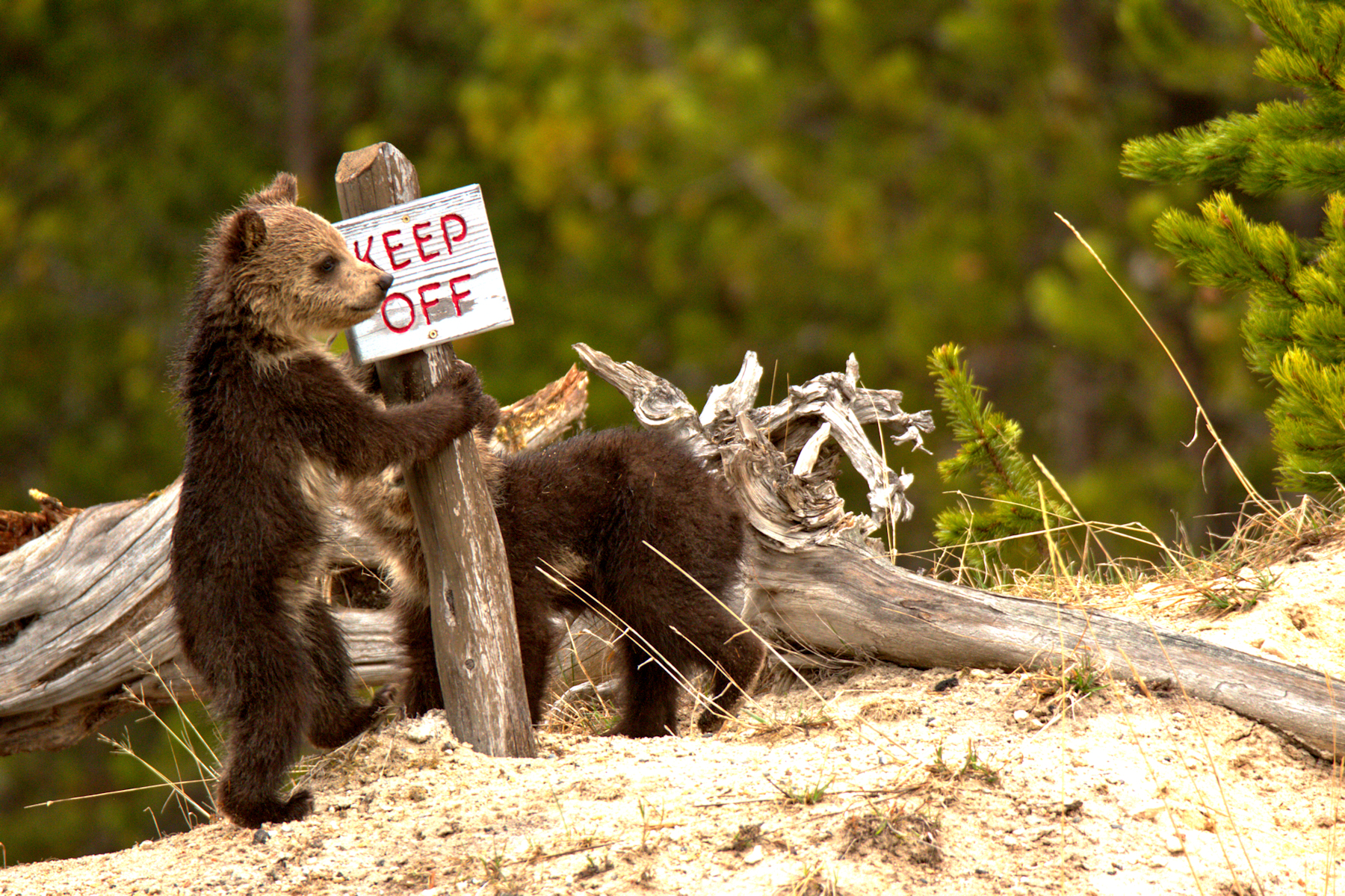  Pic by Adam Jewell (ShareTheExperience.org)