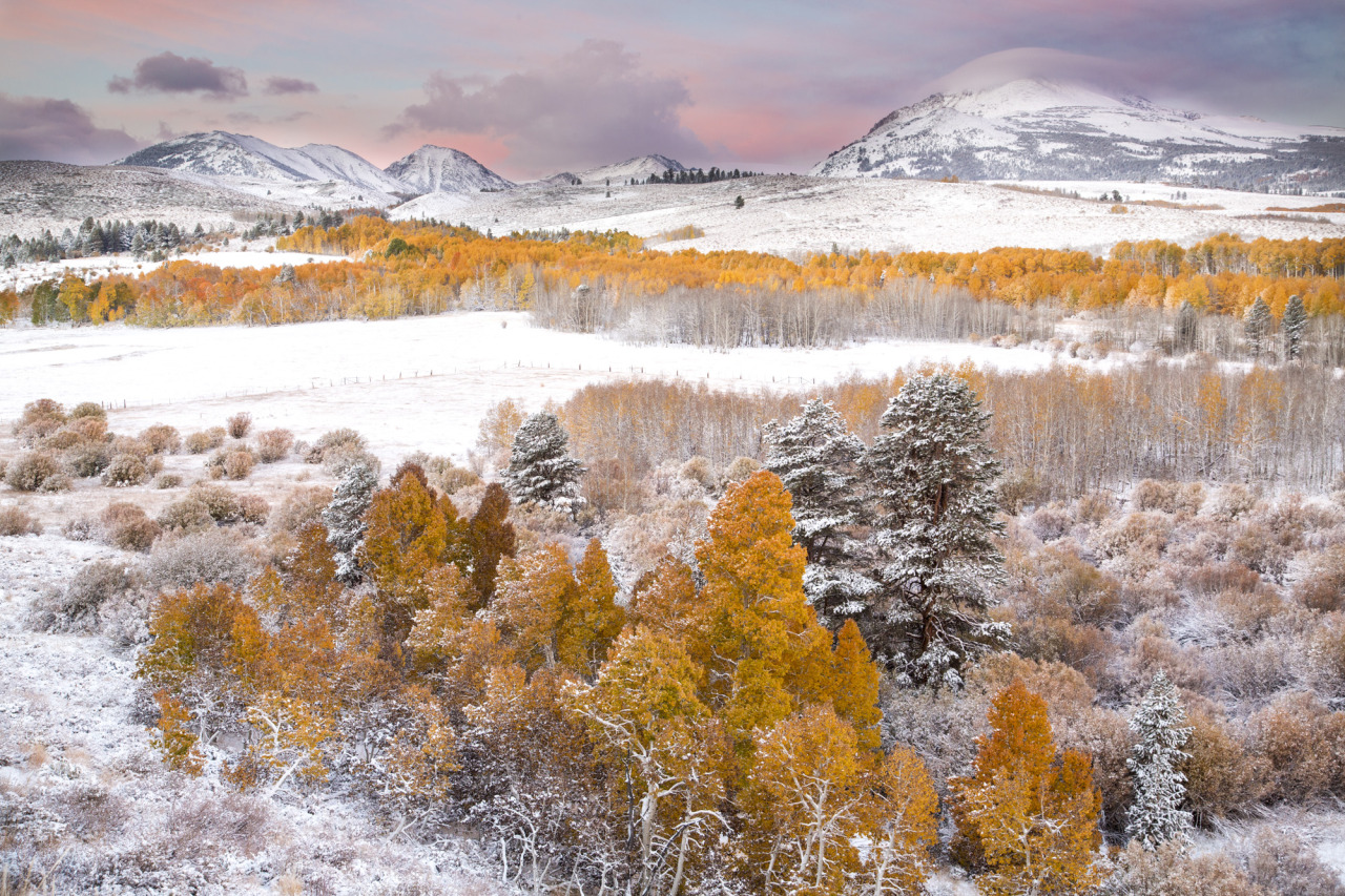 Snow-covered hills and orange trees create a spectacular scene at Conway Summit ACEC. 