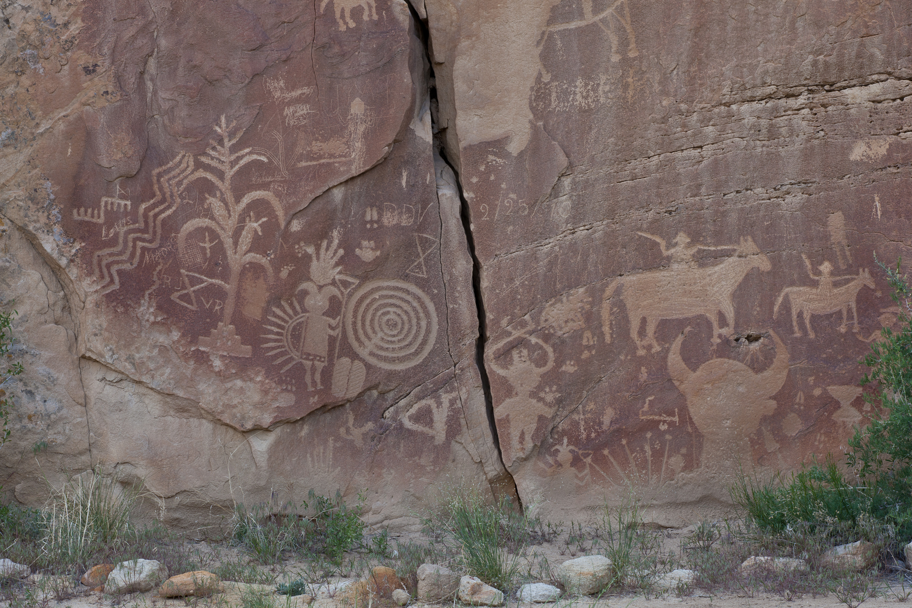 Pictures of animals, people and shapes are carved into a natural rock wall.