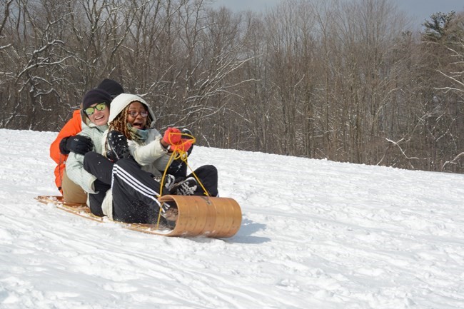Three people on a toboggan slide down a snowy hill. 