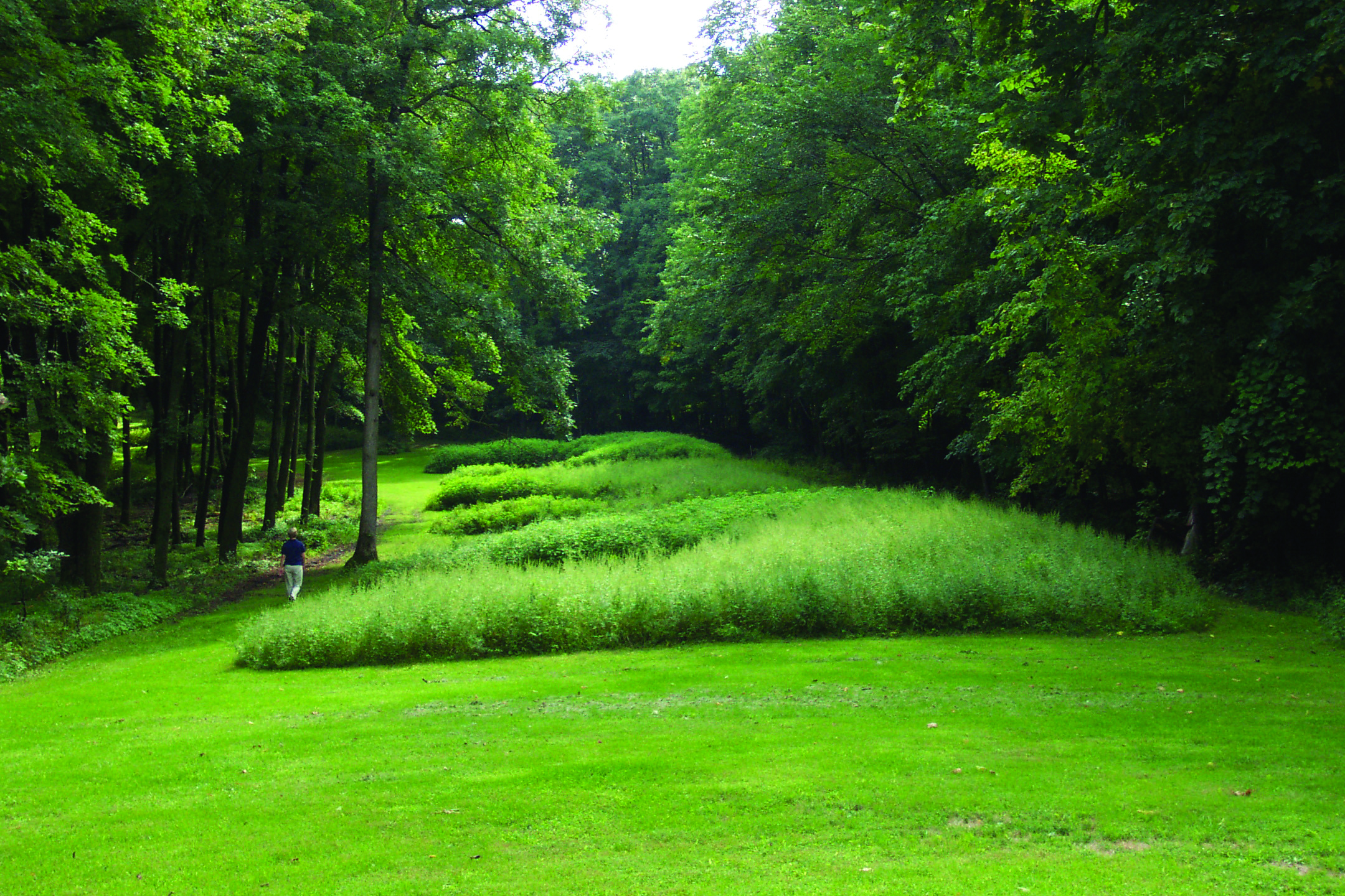 Several large grassy mounds stand in a grassy field bordered by trees.