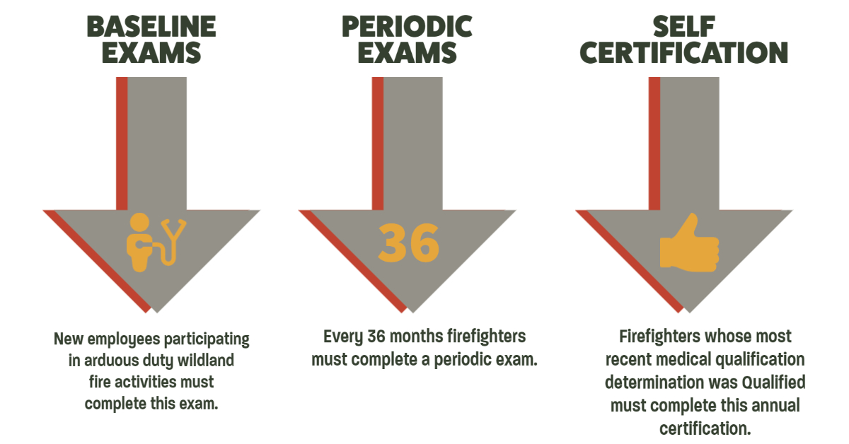 Graphic showing wildland firefighter medical exam types that is also explained on the accompanying page. 