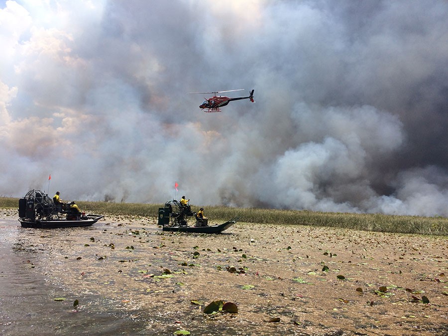 Firefighters monitor a prescribed burn at Arthur R. Marshall Loxahatchee National Wildlife Refuge.
