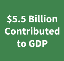 A green tile displaying $5.5 billion contributed to GDP