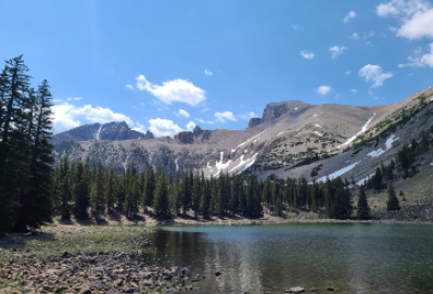 A lake with a rocky shore surrounded by pine trees and mountains with blue sky in the background