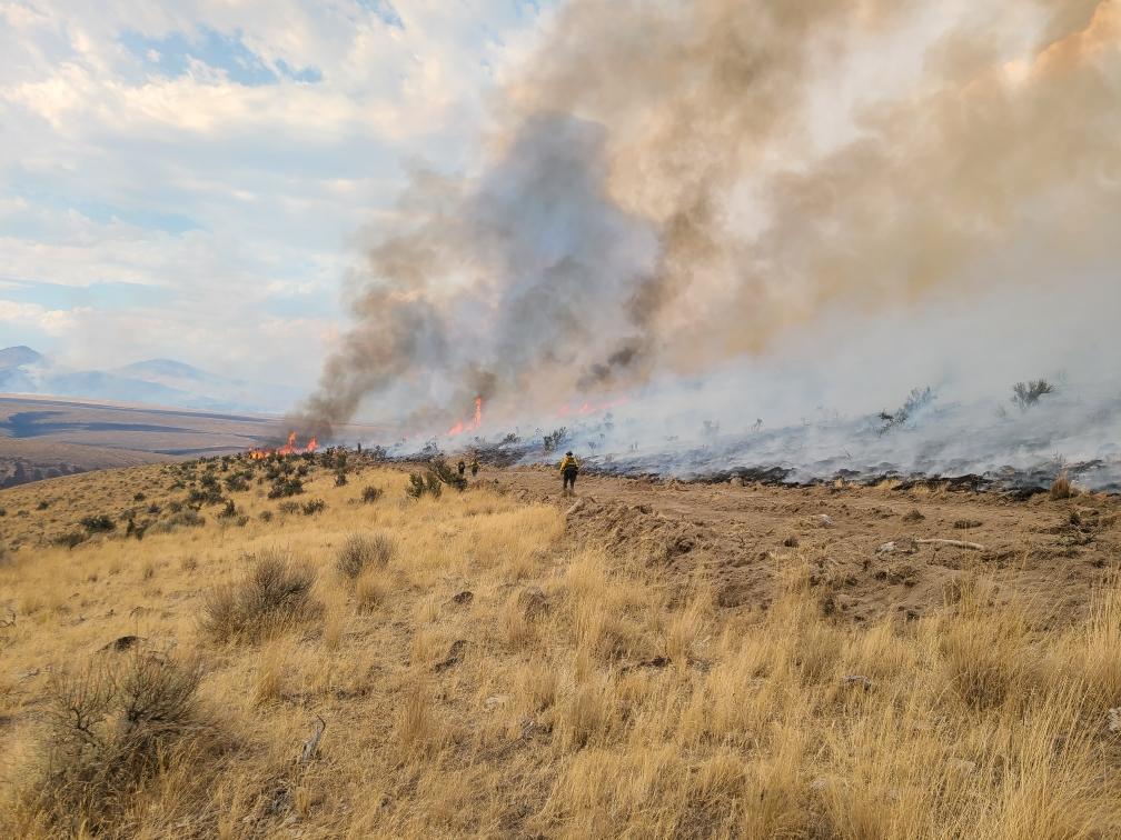 Photo by Kristen Munday, Bureau of Land Management. Indian Creek Fire off in the distance across a dry, grassy field.
