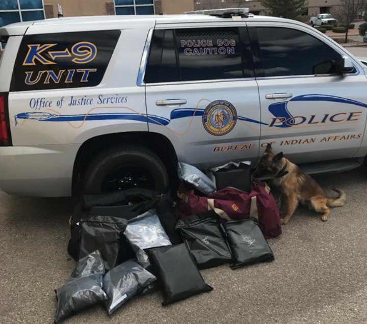 K-9 SUV and working dog with evidence.