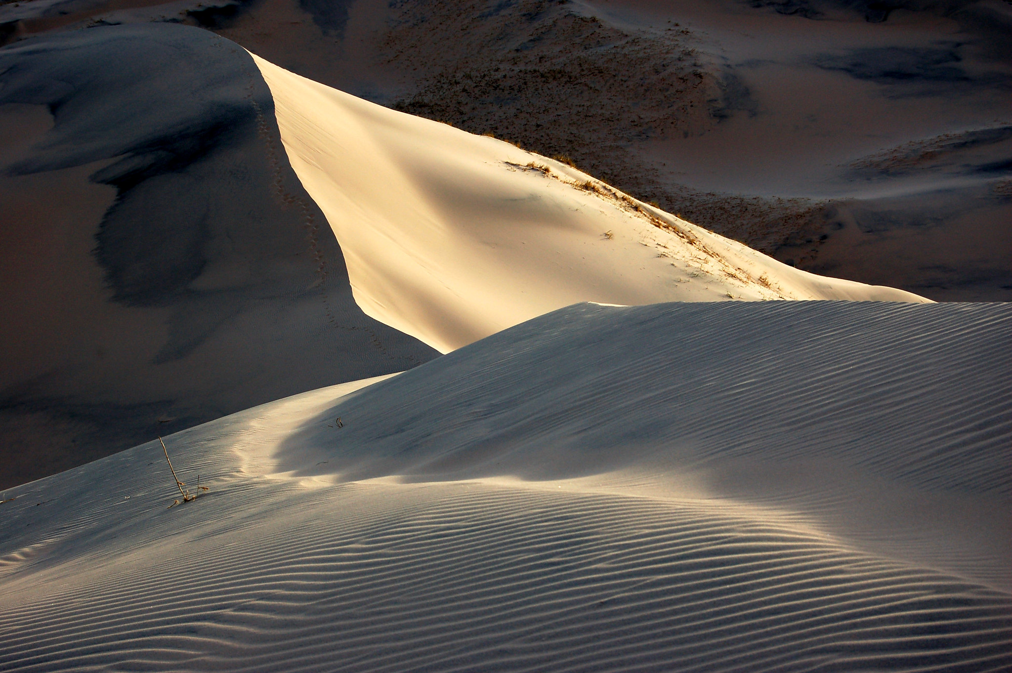 Hilly sand dunes at Mojave National Preserve. 