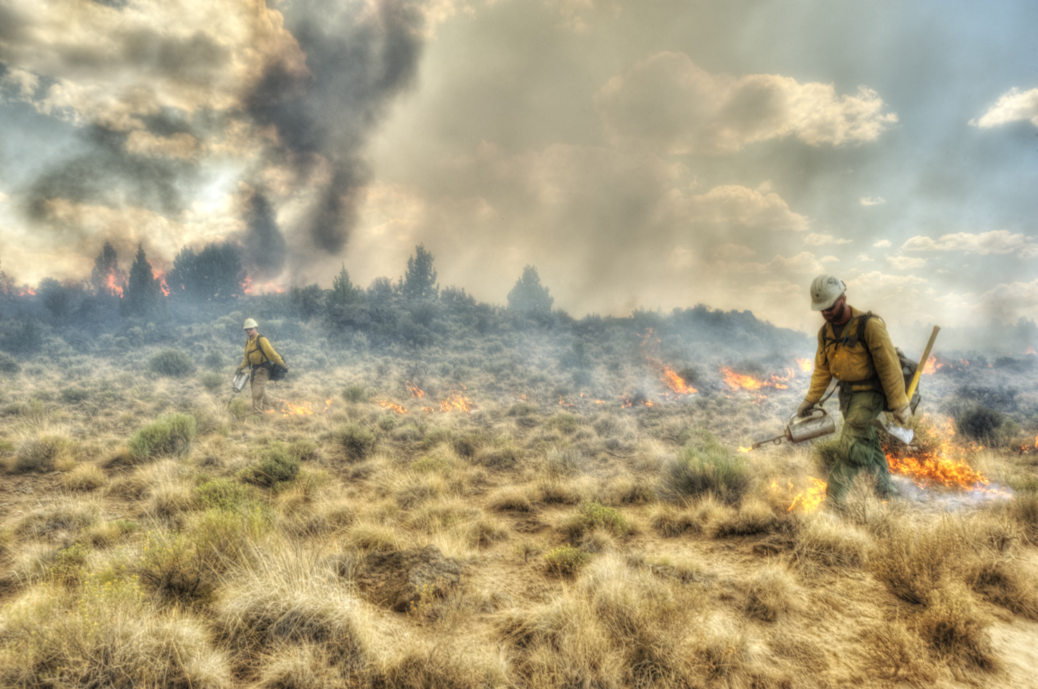 Photo by Bureau of Land Management. Firefighters walk through smoke and extinguish flames at the Lava Fire.