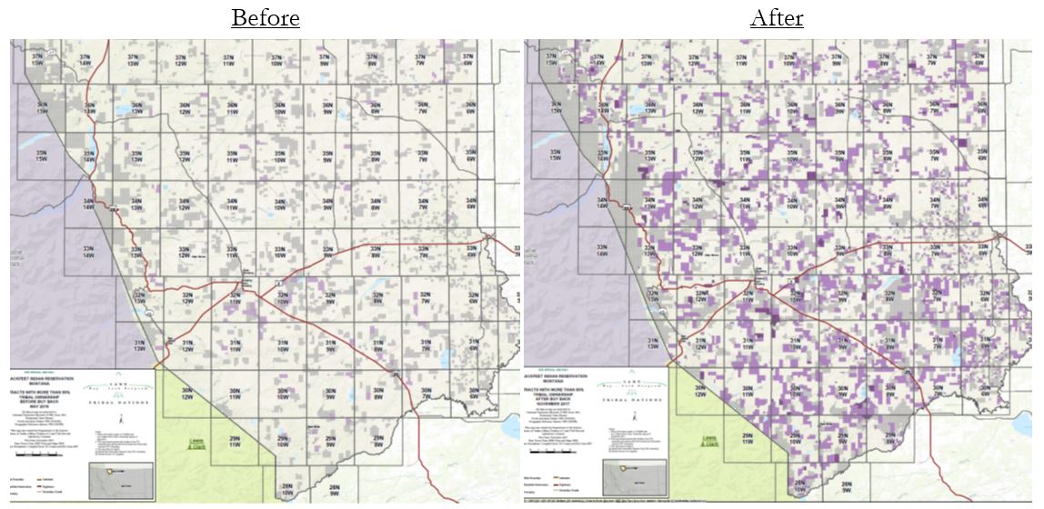 These two maps display tribal management potential (i.e., the ability of a tribe to make decisions regarding land based on their ownership percentage in the tract) for agricultural purposes before and after Program acquisitions at the Blackfeet reservation. Blackfeet Nation increased their tribal management potential 1500 percent following Program implementation.  