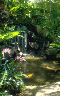Hawaii. Hawaii.