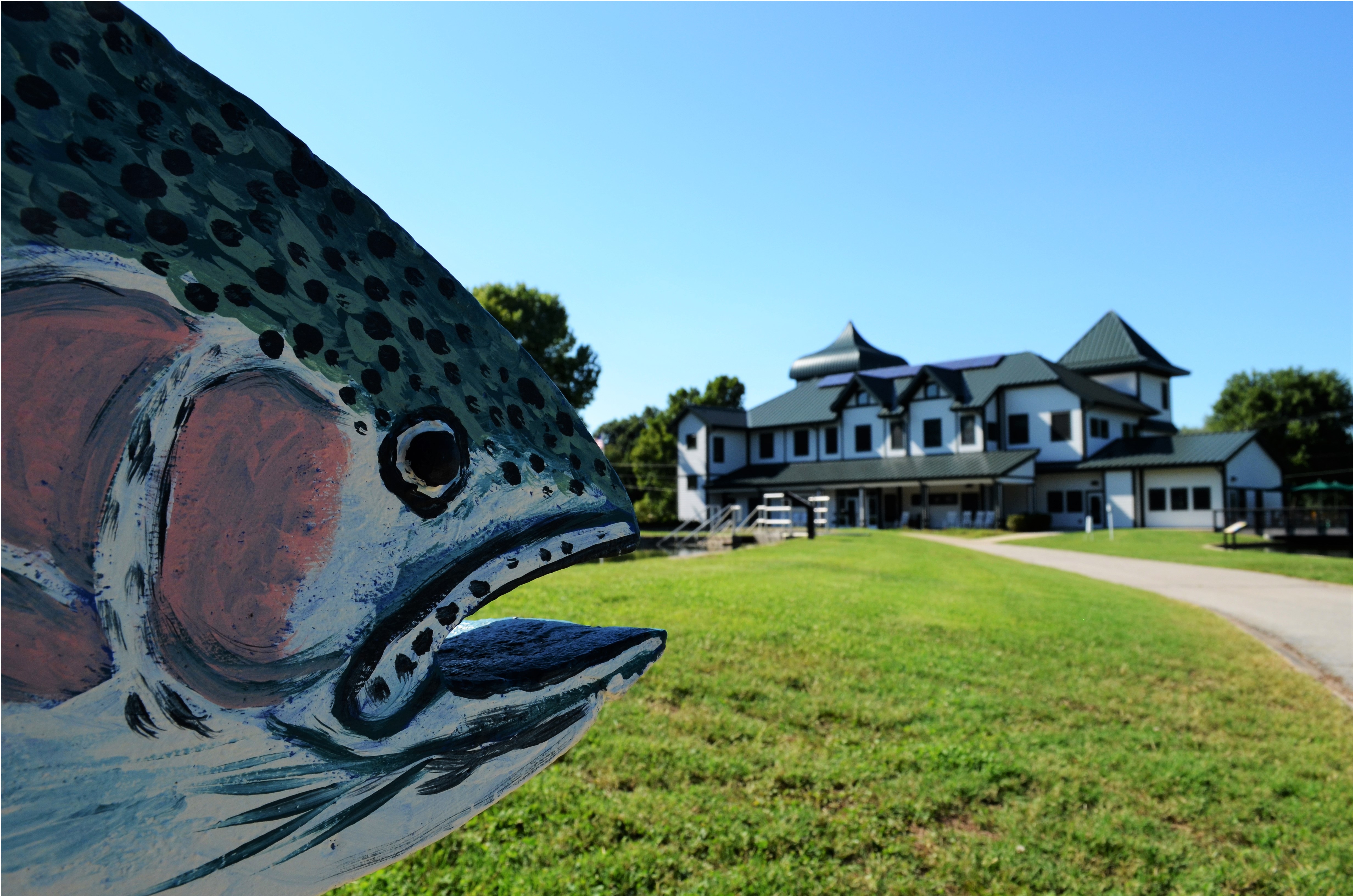 Painted rainbow trout sculpture in front of a historic white building with green rooftops.