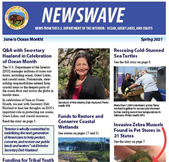 Newswave Spring 2021 Issue