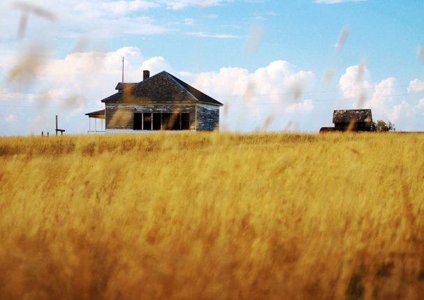 Nicodemus National Historic Site is a large wooden house in a field of tall brown grass.