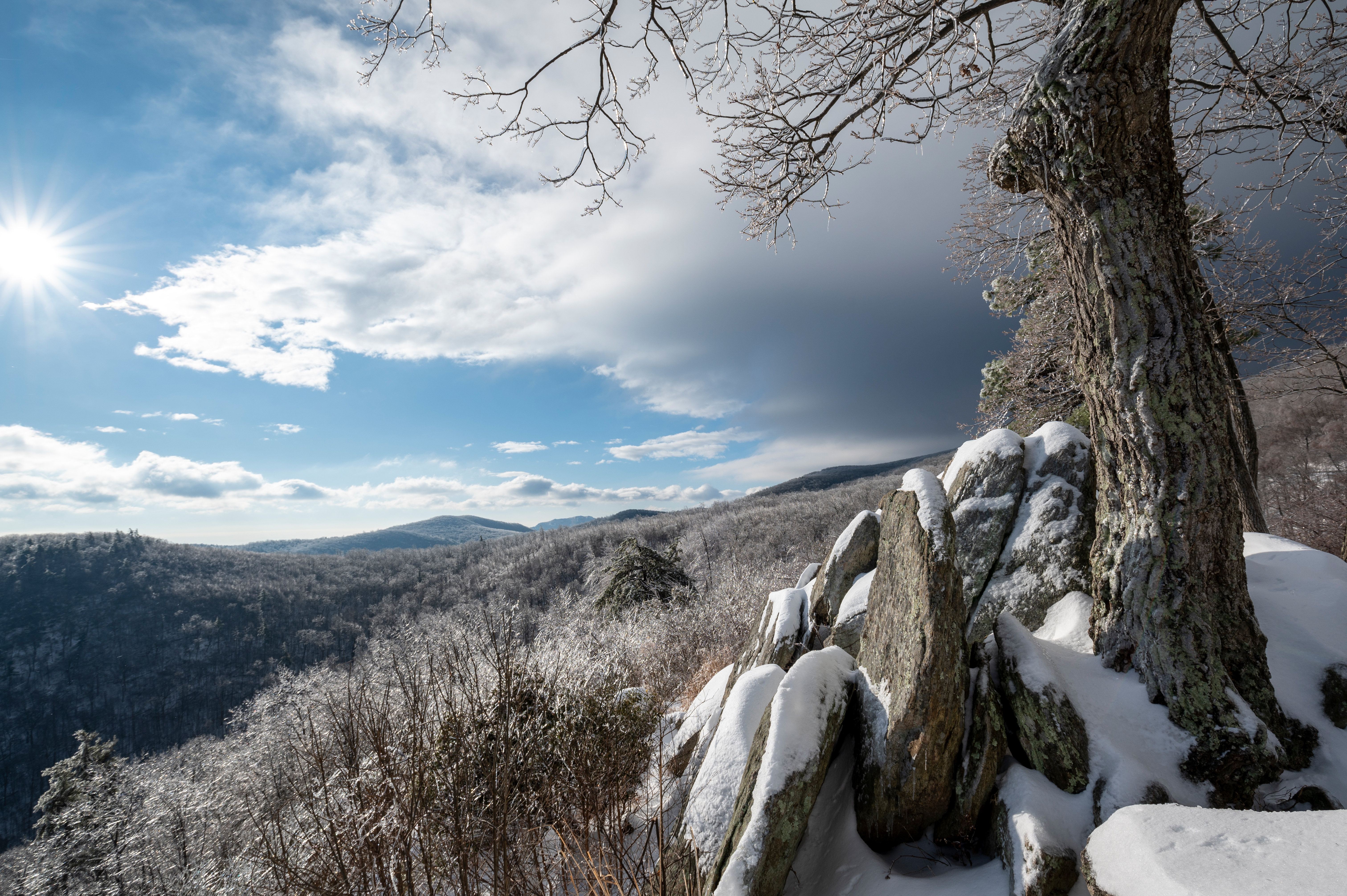 Morning sunlight illuminates a wintery scene of ancient, snow-covered rocks and barren trees.