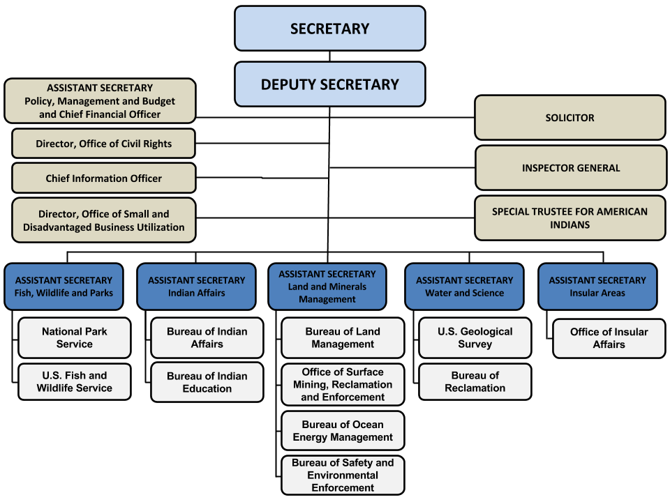 Interior Organization Chart