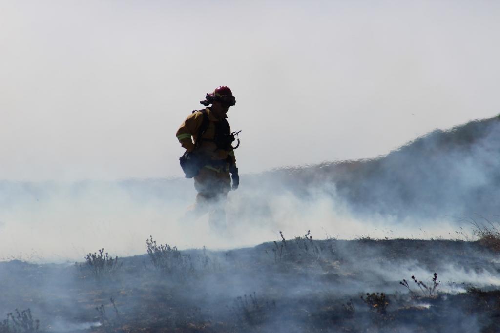 Photo by the U.S. Forest Service. Firefighter stands in smoke at the Soberanes Fire.