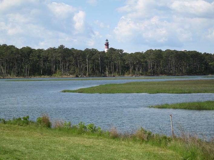 Chincoteague National Wildlife Refuge