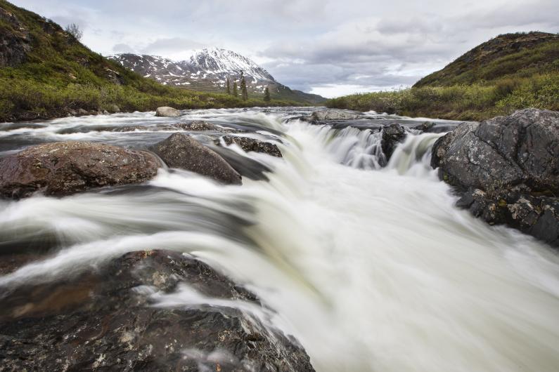 River flowing over rocks