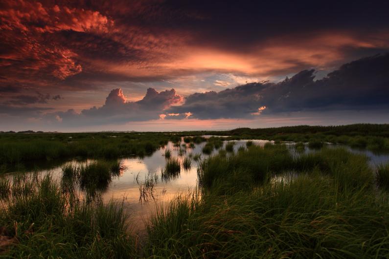 A pastel sunset over the salt marshes of Jamaica Bay Wildlife Refuge in New York