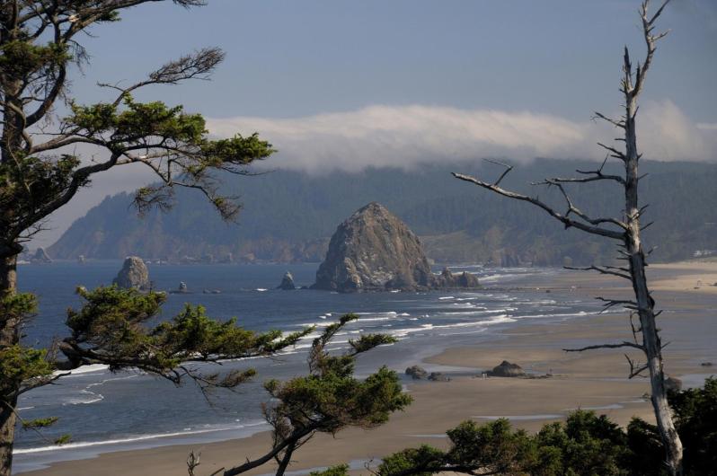 Oregon Islands NWR by Roy Lowe, usfws
