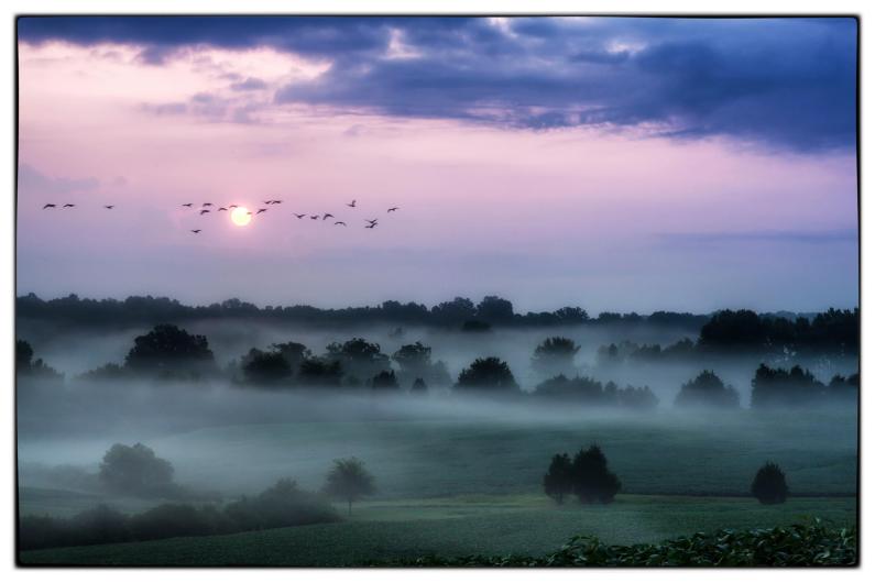 A purple sunrise over a foggy forest