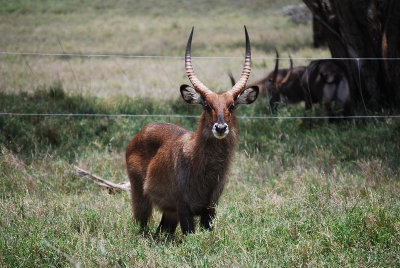 Wildlife protected area