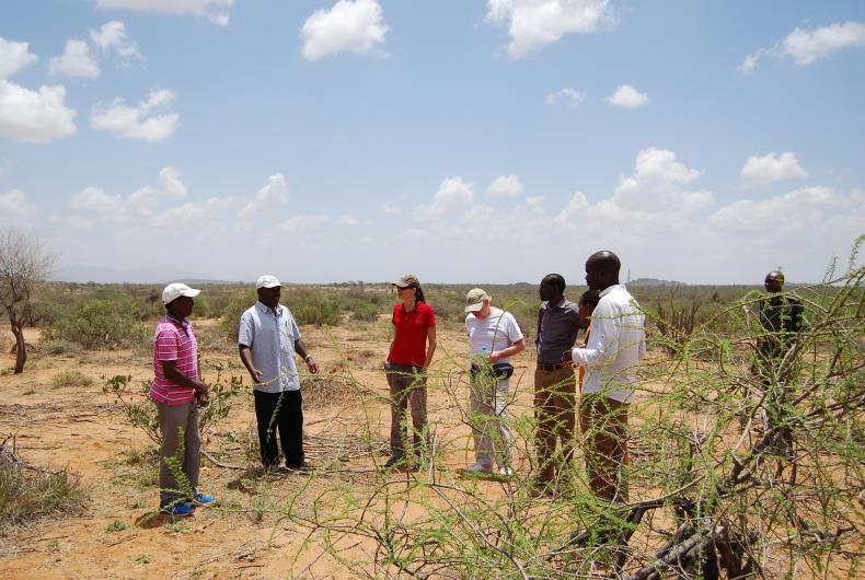 Group discussing issues in the field