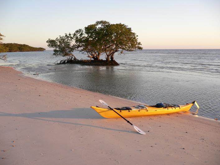 A yellow kayak sits on a sandy beach with a tree growing nearby.