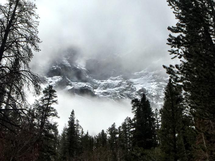 Tall trees frame a gorgeous view of clouds floating in front of a mountainside.