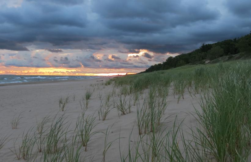 The sun rises above a sandy beach with grass growing along the edge.