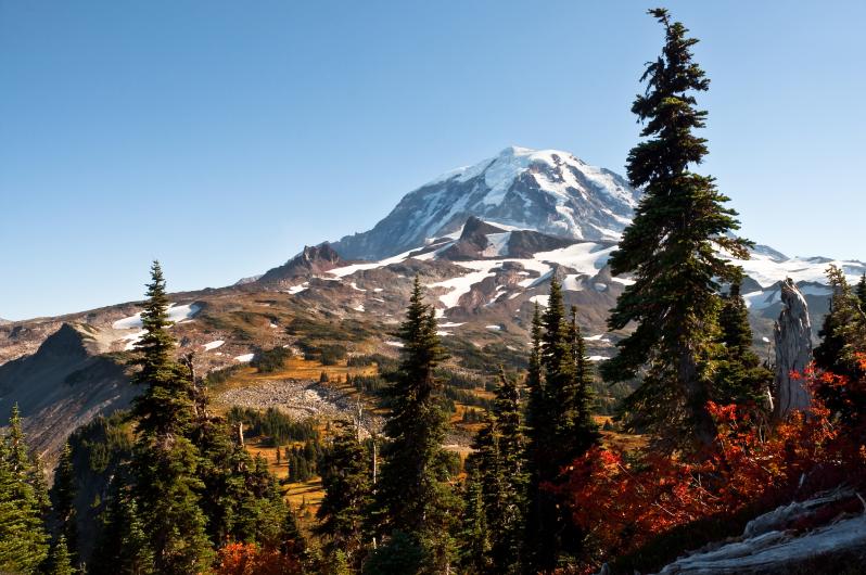 A snow capped peak slopes down to a fall colored forest.