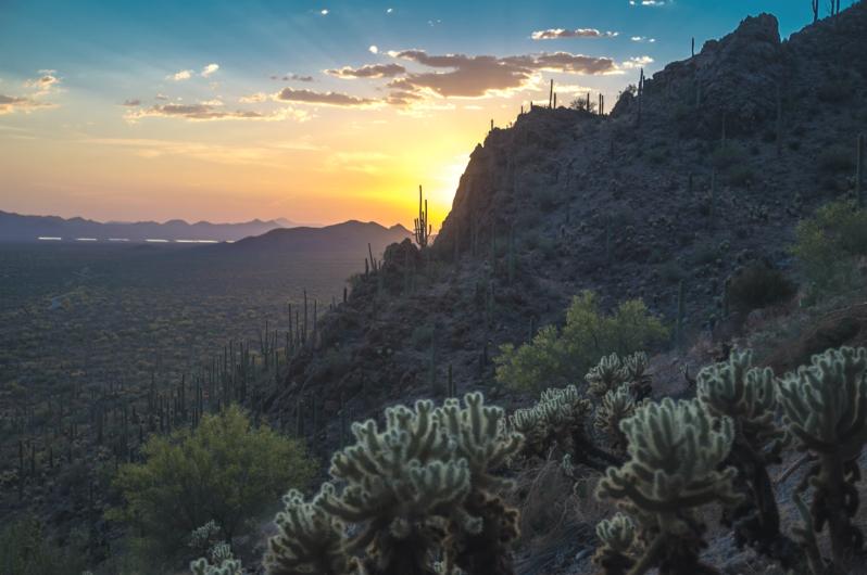 Large saguaro cacti grow on a rocky mountainside overlooking a desert valley at sunset.