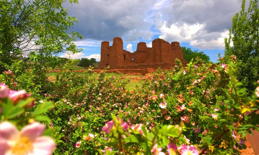 Pink flowers bloom on short bushes with the ruins of a large red brick building standing in a grassy yard behind them.
