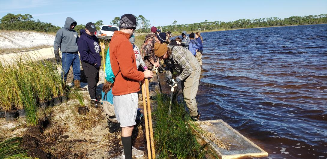 Screening for artifacts and planting cordgrass and needle rush.