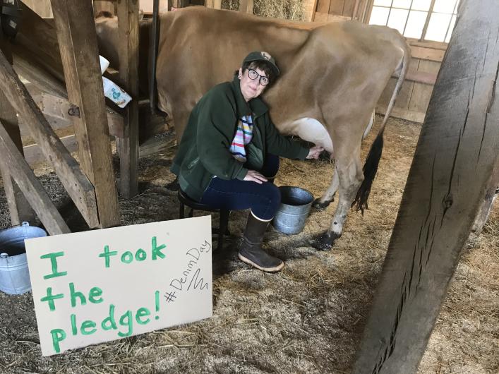 Stephanie Marrone from NPS, sitting milking a cow, sign on the ground: I took the Pledge #DenimDay sign.
