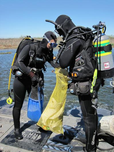 Photo by the U.S. Geological Survey. Two people wearing wet suits and diving gear stand on the deck of a boat.