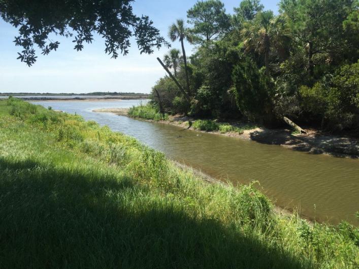 A canal filled with brown water runs past a grassy bank and a tree covered bank.