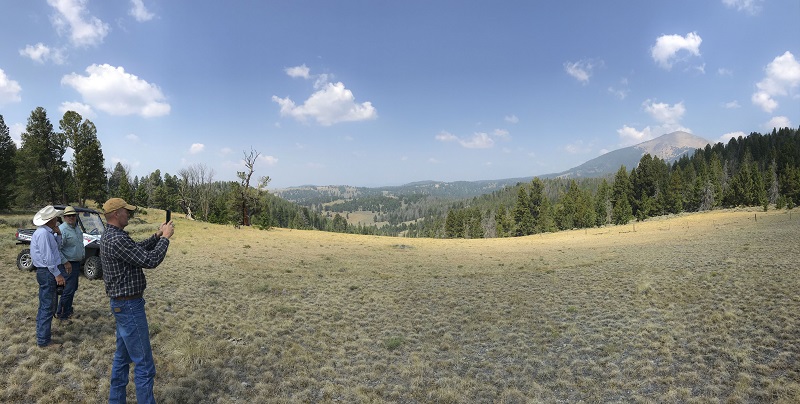 People inspecting a wide-open landscape for appraisal purposes.