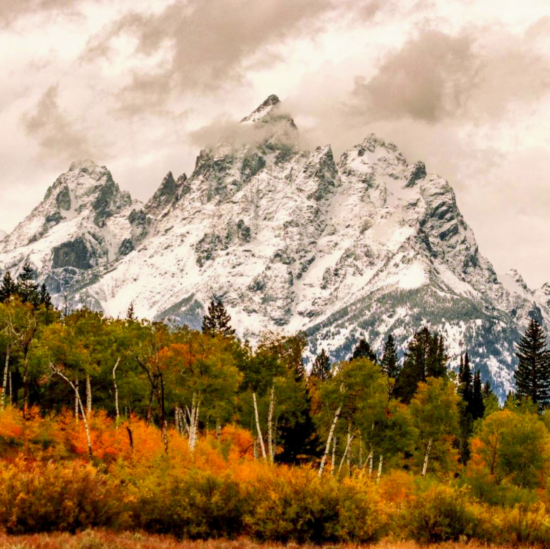 Teton Range rising above Snake River flood plain in the Grand Teton National Park, Wyoming