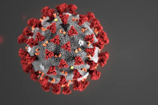 Coronavirus illustration