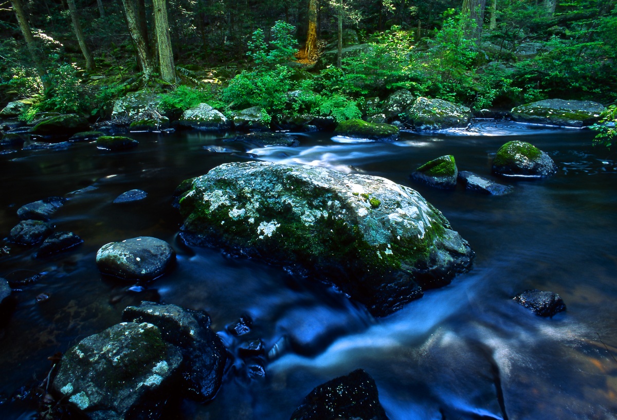 Rushing water flows over moss covered rocks on the Eightmile River.