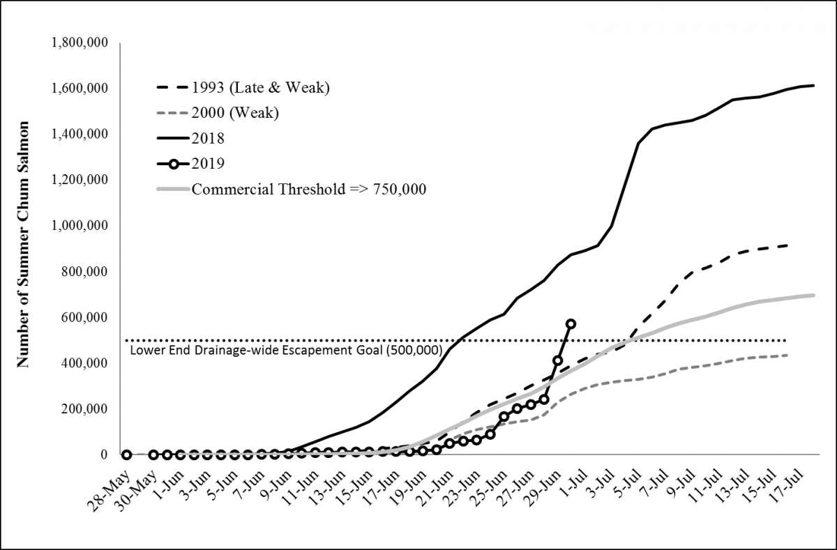 2019 Cumulative summer chum salmon passage at the Pilot Station sonar compared to 2018, and late and weak years. The theoretical management “commercial threshold” of 750,000 summer chum needed for commercial harvest based on late run timing is included for reference. 