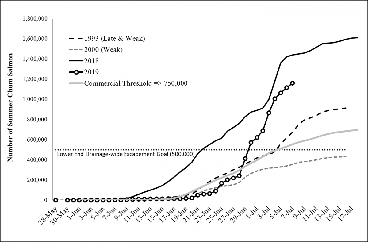 ​Cumulative summer chum salmon passage at the Pilot Station sonar compared to 2018, and late and weak years. The theoretical management “commercial threshold” of 750,000 summer chum needed for commercial harvest based on late run timing is included for reference.  The horizontal dotted line represents the lower bound of the drainage-wide escapement goal for summer chum.​