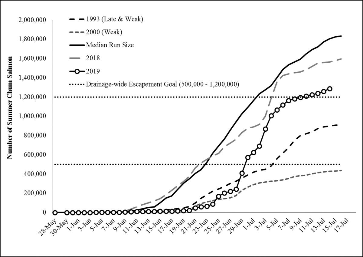 Figure 2. 2019 Cumulative summer chum salmon passage at the Pilot Station sonar compared to 2018, and late and weak years. The solid black line is the median run size for years 1995, 1997, 2000, 2002-2008 and 2010-2019.
