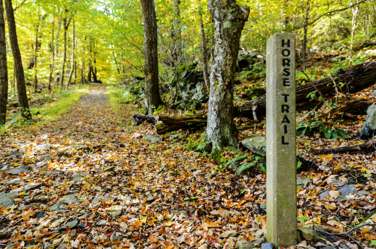 A signpost marked Horse Trail is planted beside a leaf covered trail through a forest 
