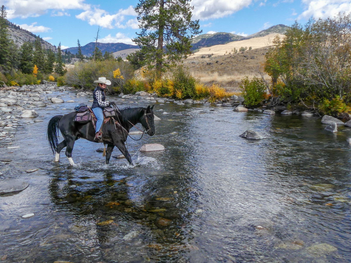 A woman on a horse crosses a clear creek with rolling hills and mountains in the distance 
