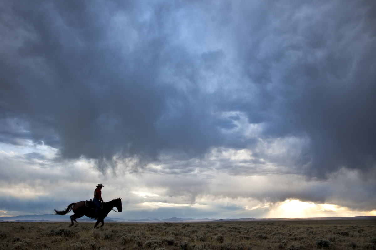 A cowboy on a horse gallops across a sagebrush flat under a storm clouded