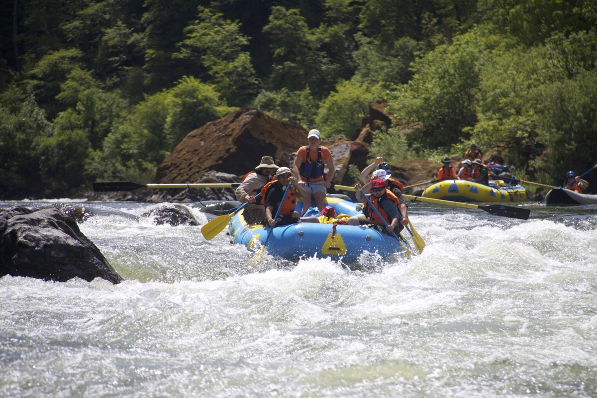 Group of people in orange life jackets paddle through whitewater rapids. 
