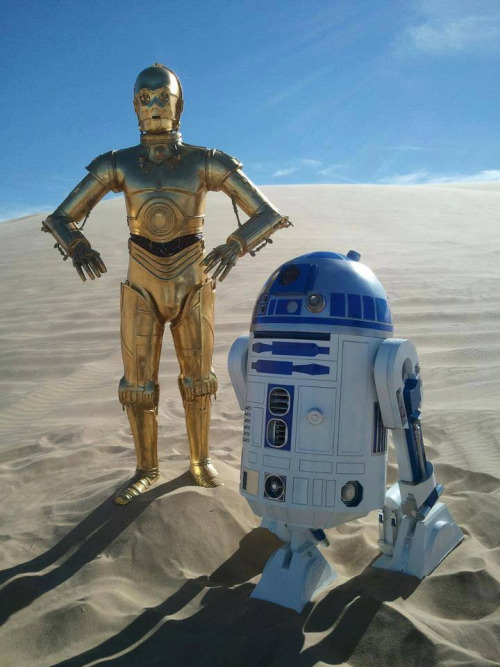 A golden, man-like robot and a short, blue and white robot stand in sand dunes with a blue sky behind them.